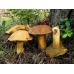 Мицелий Моховика желто-бурого / Масленок пестрый (Suillus variegatus)